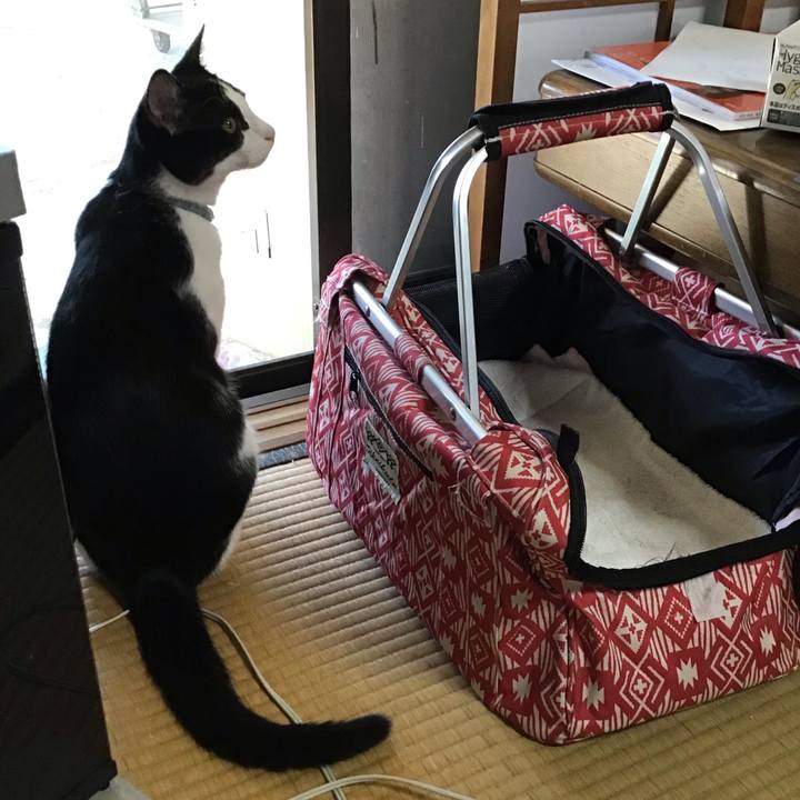 76b02c37 98ec 4131 9d32 e7dbbaaa9033 1633163015379