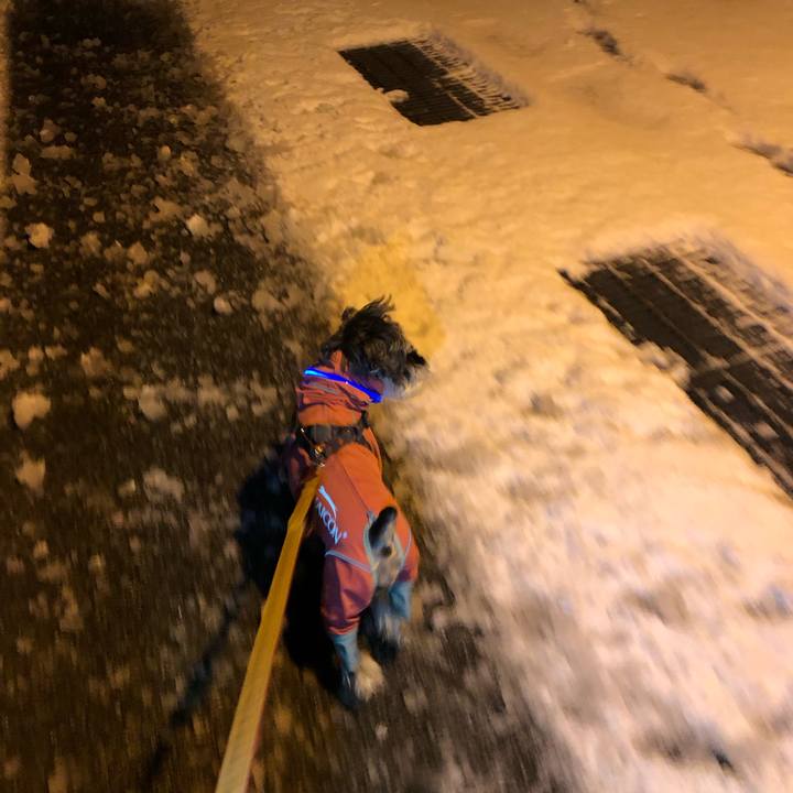 76b0369b 4ea8 42fe 9ffc 52a5a5c989ae 1671357186978