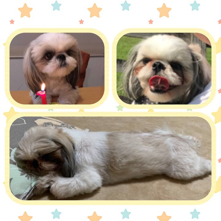 76b03dba 96b3 475c 8b4c 0f464cfd59dd 1573702097201