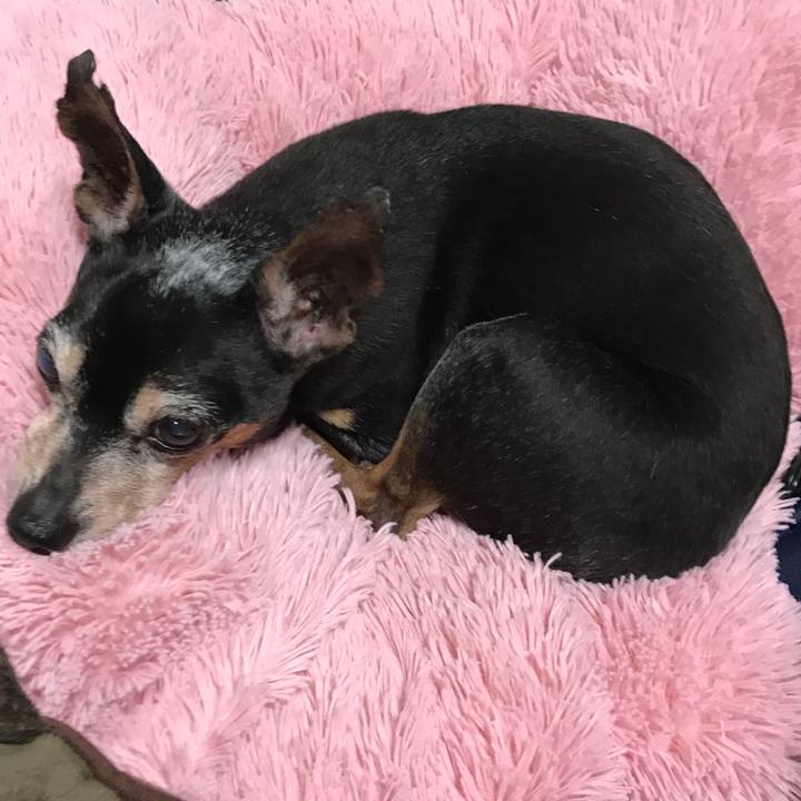 76b07116 abf3 453a 9593 8bf043cb769e 1556538009709