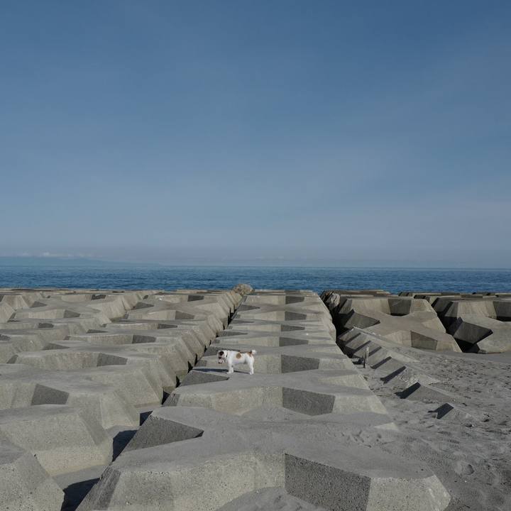 76b07fd3 1fd9 477b 822b 942e3a50b36a 1566879838932