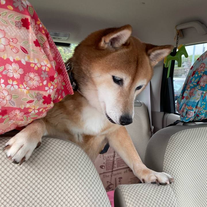 76b0c236 14fe 434c beaf fb74f4dea3f4 1634356275586