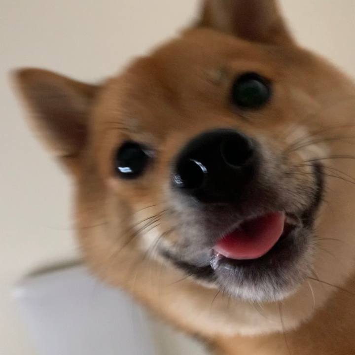 76b0fc41 9251 48b1 9f44 715ae650d168 1597975467109