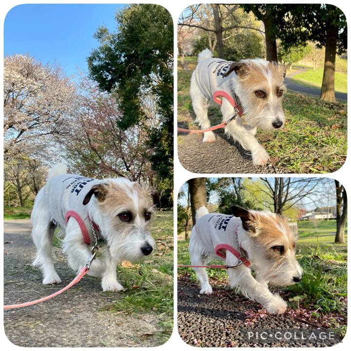 76b106ce 9611 478d 9e5f cae928646915 1649235828342