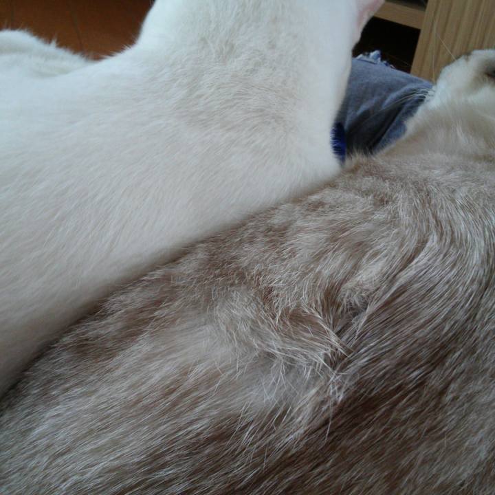 76b13ac9 df63 4f70 8324 4dc9d2680263 1509325229892