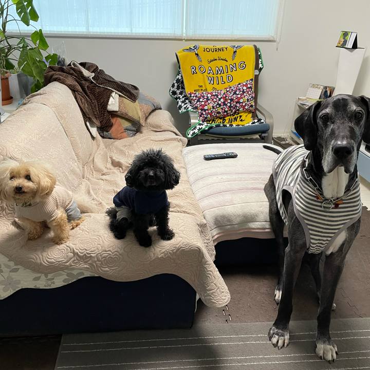 76b15ef7 62af 4f74 af93 a25c033d22bc 1618354136403