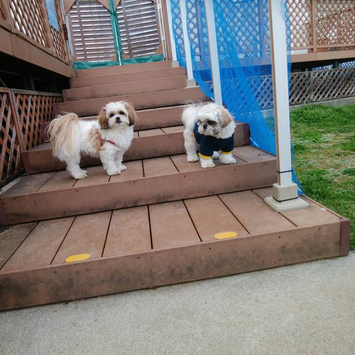 76b17a15 51fc 4fbe 883f 39a1427a443a 1521872614430