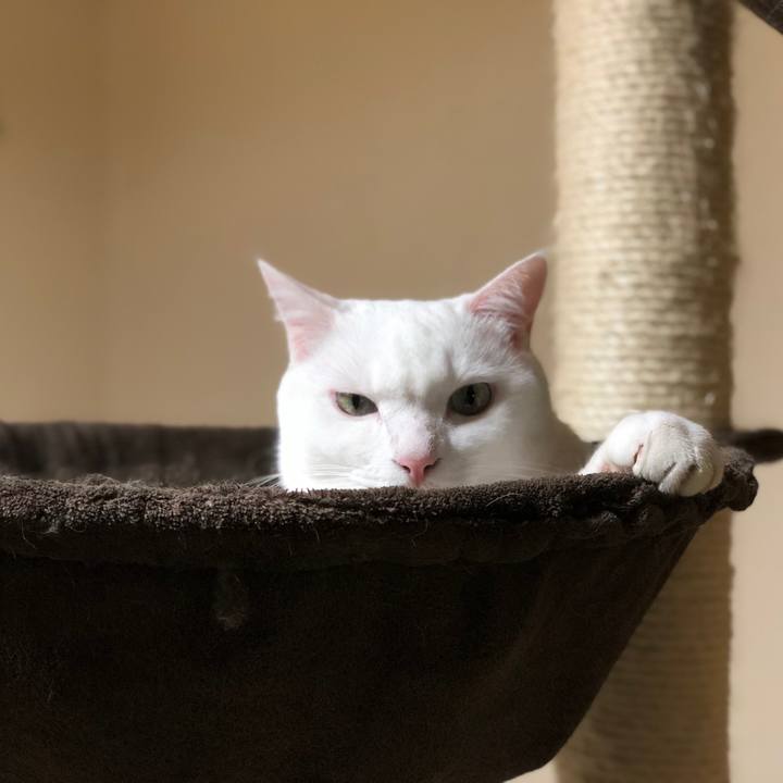 76b17ac2 e37c 46dd 88af cc77b7a26788 1534947137970