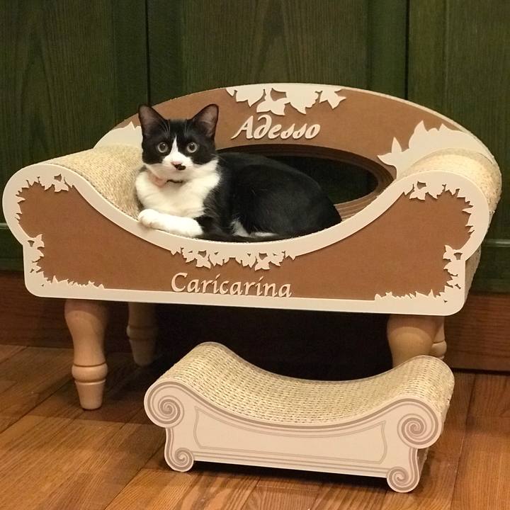 76b18022 1e40 4d6f 8548 93290e33e830 1516380537380