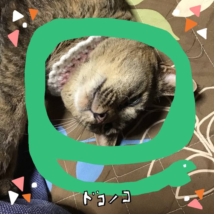 76b18c5c af08 49ac 9d43 25ee2f6ab71b 1741425670886