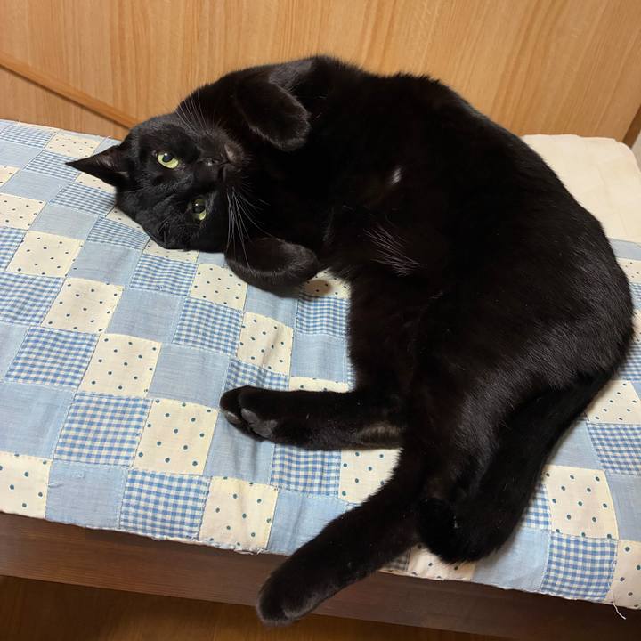 76b1ae06 333a 4b84 8810 01a6bc392a03 1765288103485