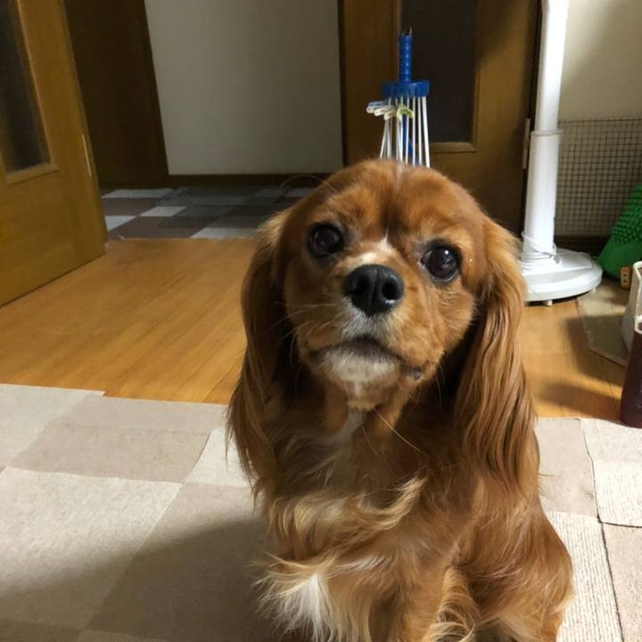 76b1af84 e90b 4d8b ba09 b43fd1d7f30c 1558220109764