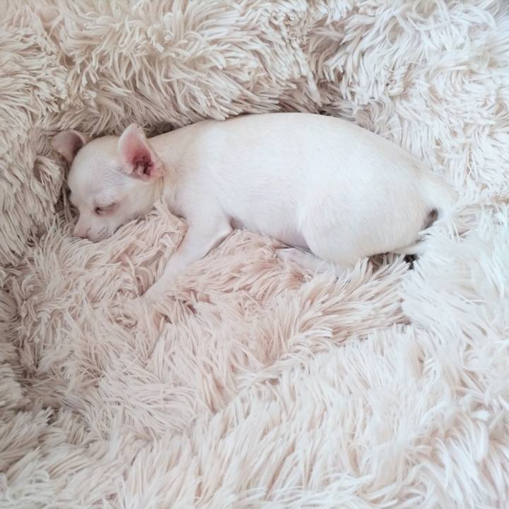 76b1afb1 7abd 4a24 b755 81e2c9abb811 1704282963078