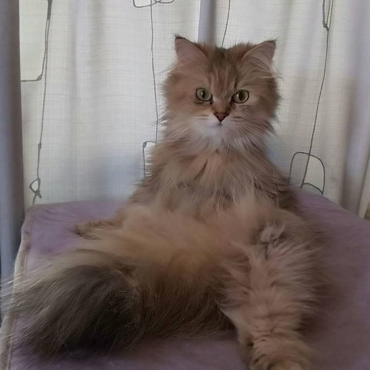 76b1d1d7 4b84 481c a0f3 0bea7eb54473 1596785361772