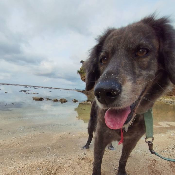 76b26236 ba8a 47bb 8e25 1730b460005a 1712979813270