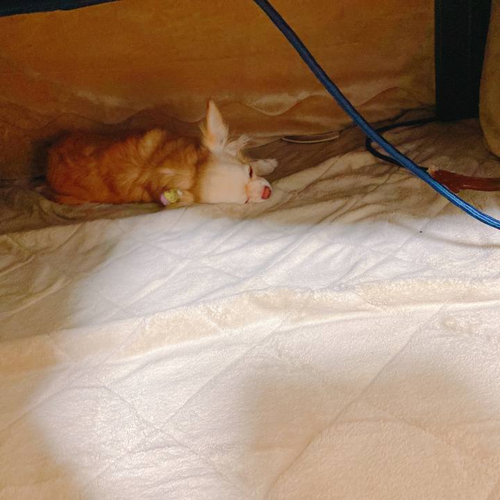 76b28b8b 2874 49cf 9e78 40761b4dcd34 1646708302444