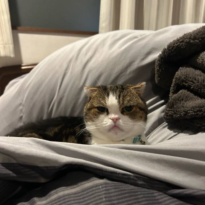 76b2b91e 036c 4d90 aaf9 35a62c75acdf 1769549959826