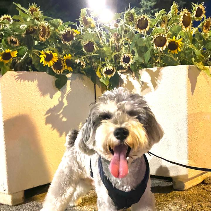 76b2bc12 83e6 40c4 9fea 8861deae091a 1627235790992