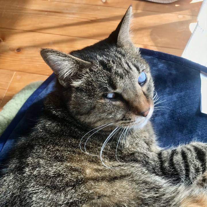 76b2ca64 06b2 4f6f 8a0f ff3cc3e6484f 1615430838537