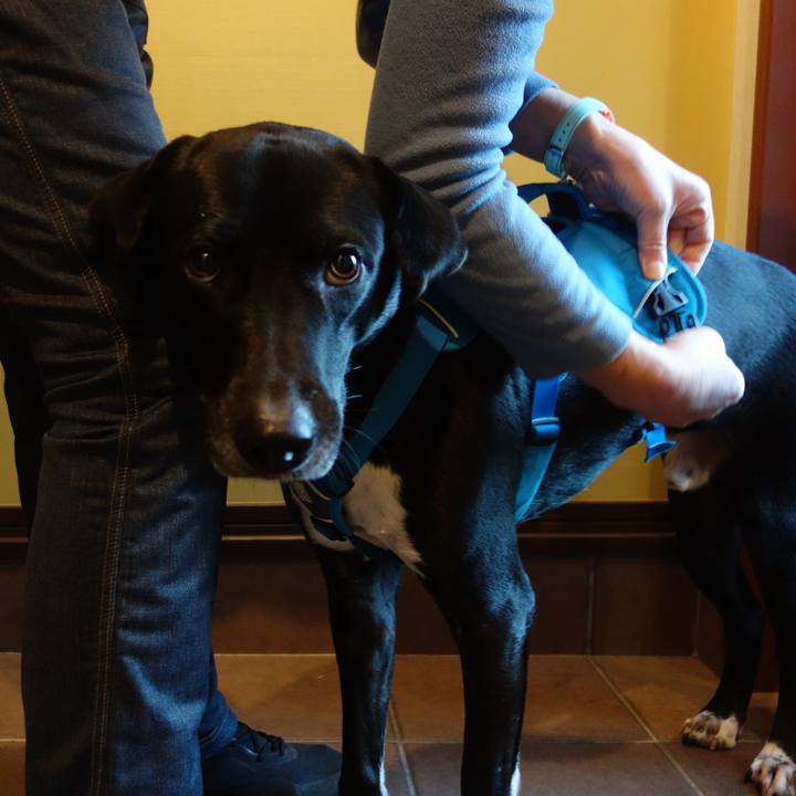 76b2d646 3339 46ee a9d6 cd8c8729819e 1612656134104