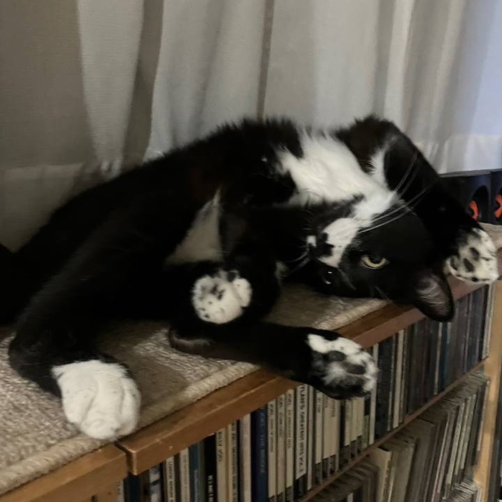 76b31927 9e38 46b1 ace6 bdedfbe54c86 1690947948543