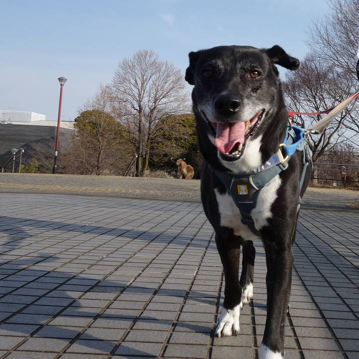 76b32e19 74f7 4c80 8a03 998b6dcee316 1741913671595