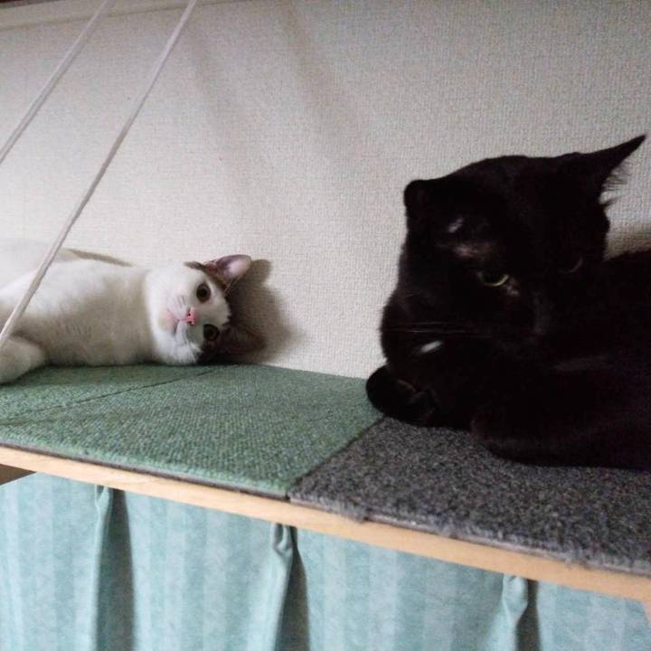 76b33cb0 3fd9 4454 b665 eb687fe229d8 1666521367232