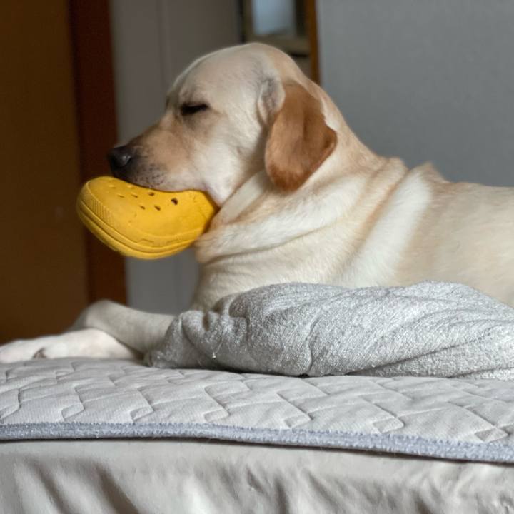 76b3f538 03c0 4930 8a93 4369cdd91f2f 1656021541642