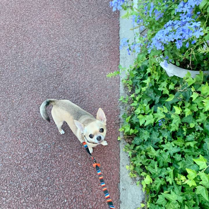 76b46399 5f11 4e10 998f 71975ba8afed 1597739474724