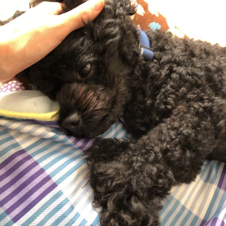 76b47658 a777 454b 8ea4 ef344878adaf 1538370873928