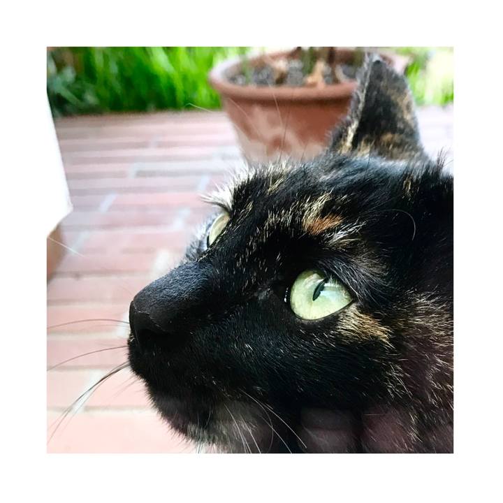 76b4bc84 d7f1 470b a85a 27286c796c83 1614477953928