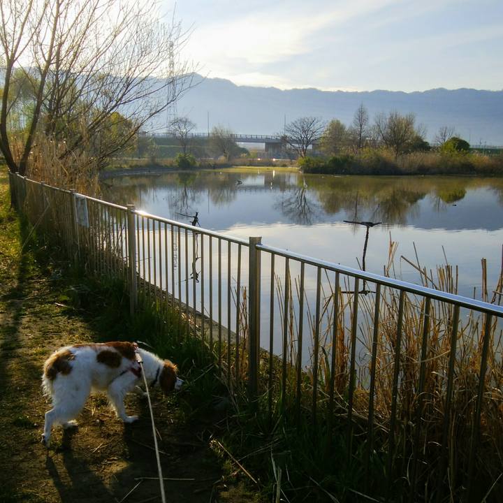 76b4c082 f139 47c5 aee8 173c42a08fb9 1554423607062