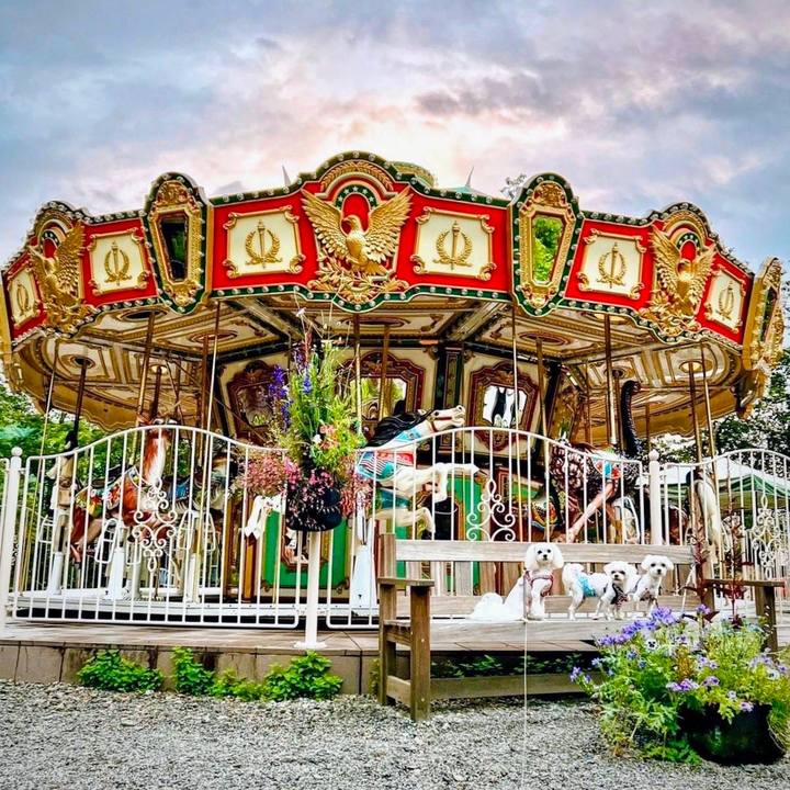 76b5362f 81d6 403a a7f0 3986bd6c14a2 1655622363834