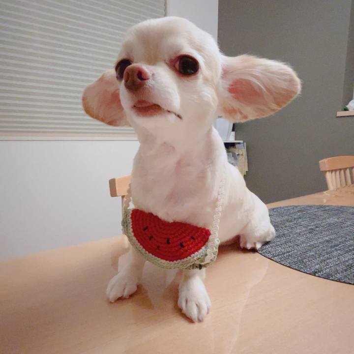 76b5934f 6bbf 40df 8217 d4361c637acd 1755860415830