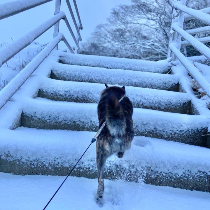 76b59fd2 1c7f 4e60 a47f 80f9724489f5 1645070782982