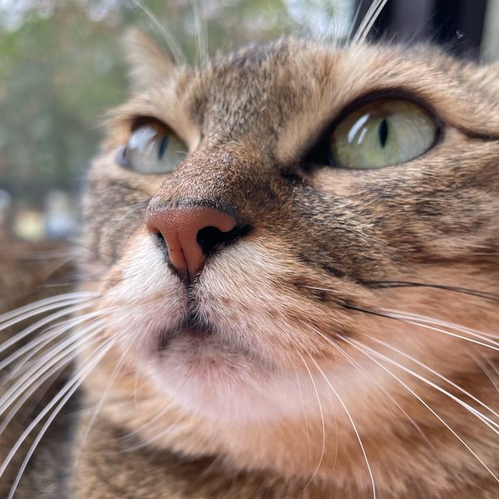 76b5c266 6333 46b6 b47f ab456b609ab1 1668830700542