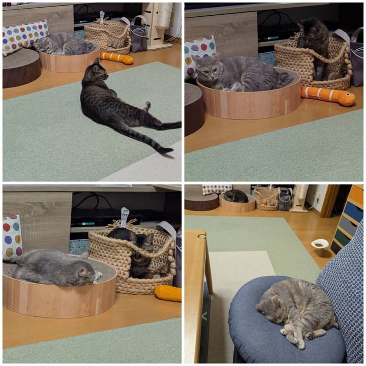 76b5d8d6 e8b9 492b 8d2e 9eb35c6191f9 1758182204777