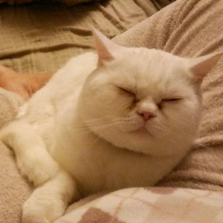 76b5e977 0df6 4b5a bb3b 1304c3f8c6d6 1512375924338