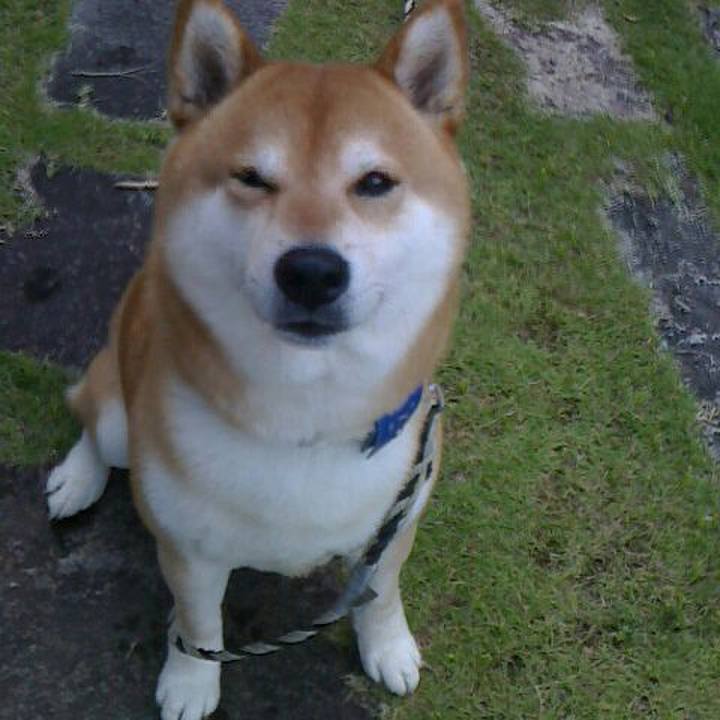 76b5ea36 a302 470f a9a7 88e0b170661f 1528191592039