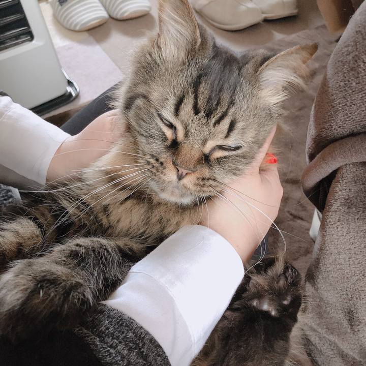 76b606ce 9efb 423a 87e3 a0cddf2bb4e0 1553085359865