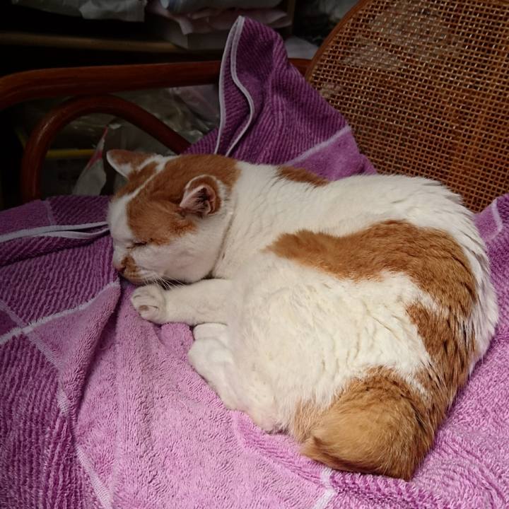 76b62913 8d57 459e ad8f de32bdcf1fef 1525059240512