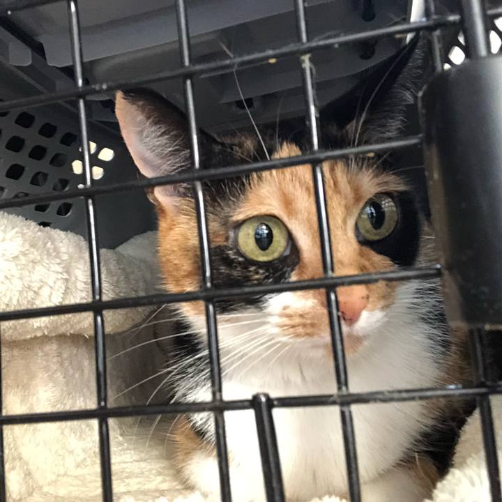 76b6524e 0ae8 481f a3bc f273eb7629fe 1539598978069