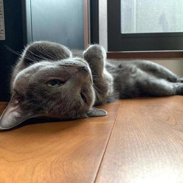 76b6646a 6d10 440c 92a4 39e7bfcb89e6 1633004035141