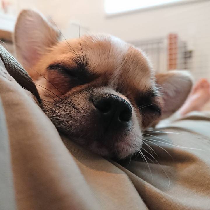 76b669d9 2b41 4ccc a4ed 66410b7d7eac 1532263289879