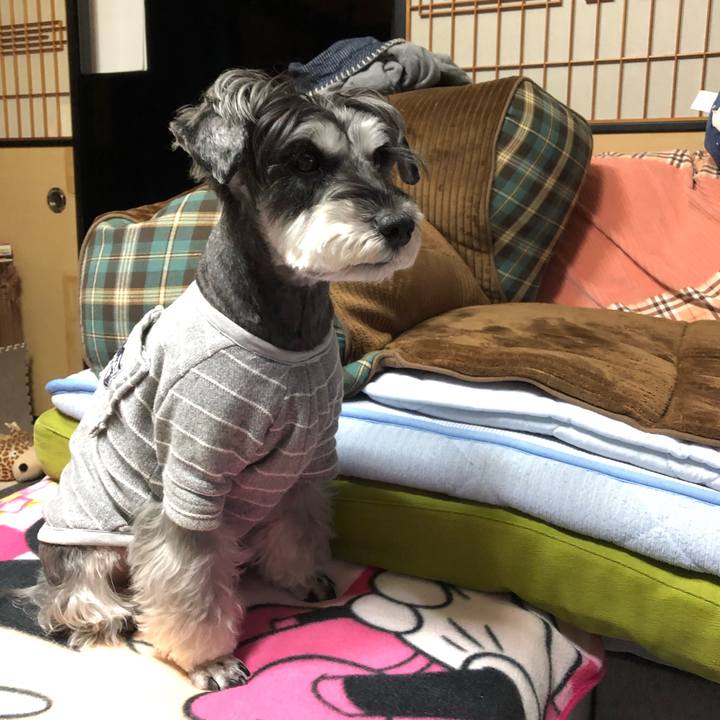 76b68421 f723 4043 941d 08cbf0f4264b 1666877380007