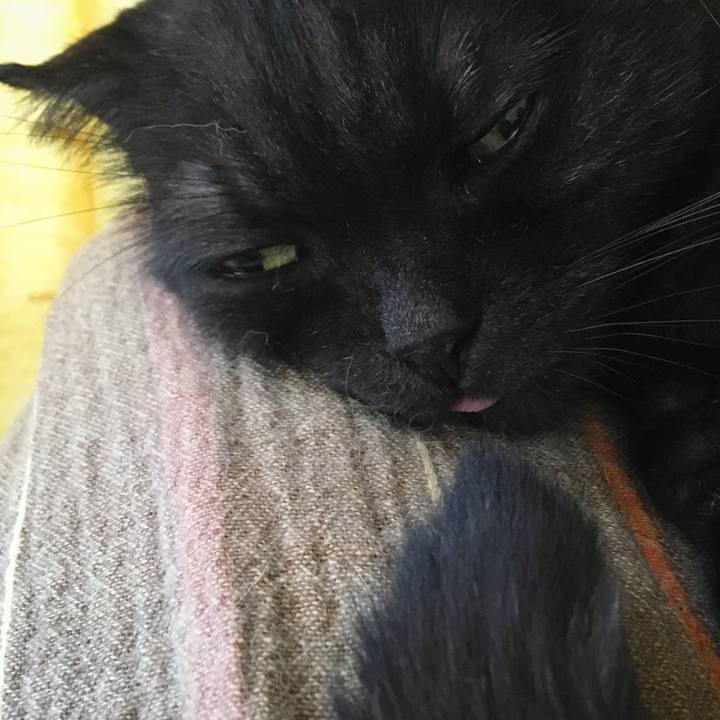 76b687d4 f619 4792 8f30 cd5360d59b4e 1534121342012