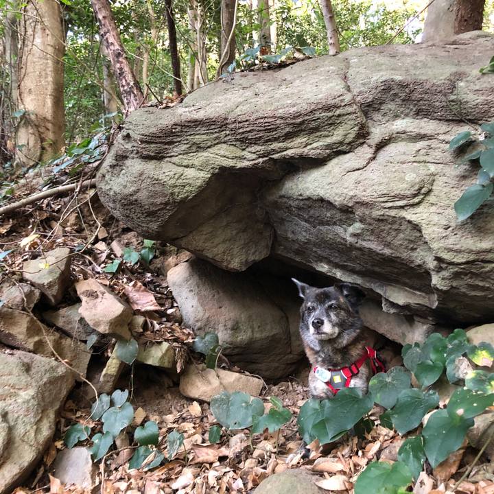 76b68edc 5322 4b3e bb8e 7bcdcb49a39e 1641722250996