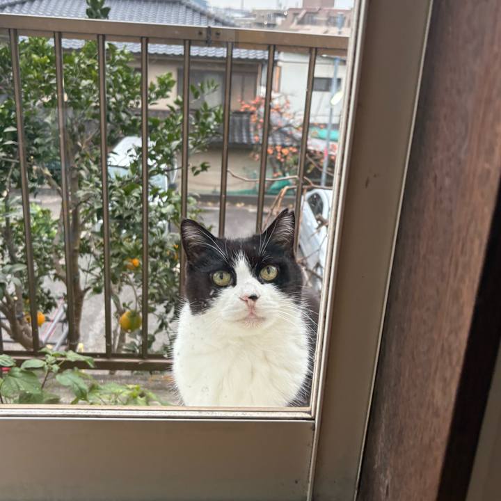 76b6d469 e086 4f91 942e 2d3b1832957b 1764718366633