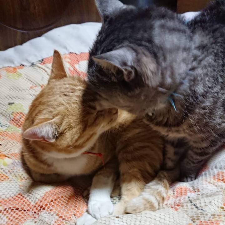 76b6eac8 4d9f 4473 a410 433fe274d315 1605177922907