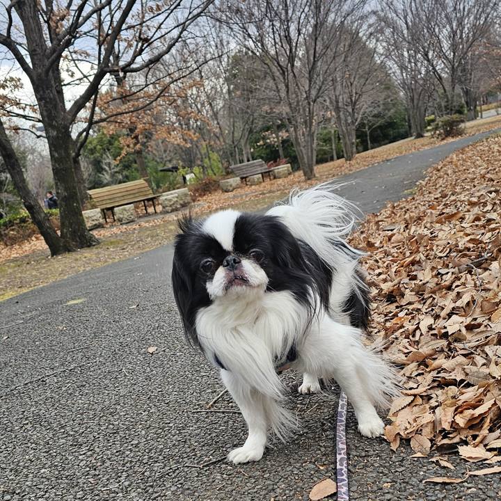 76b71278 cb0b 459f 80be 1a40e0af3ae4 1735290866030